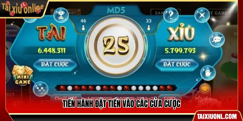 Thực hiện đặt tiền vào từng cửa cược